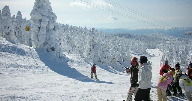 japan powder skiing