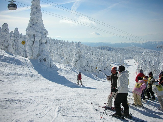 japan powder skiing 